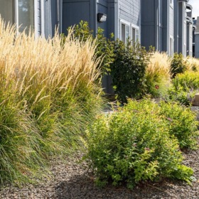 a small garden in front of a building