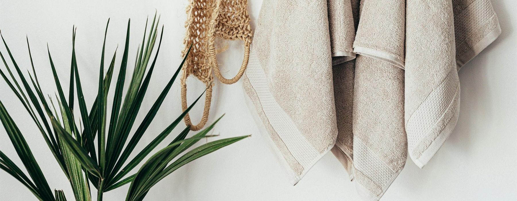 towels hanging on a wall near a plant